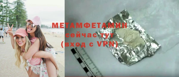 индика Гусев