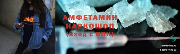 индика Гусев