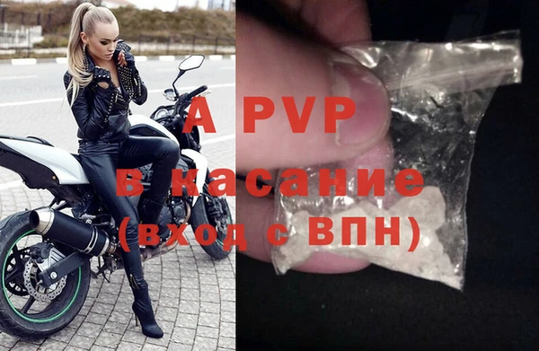 индика Гусев