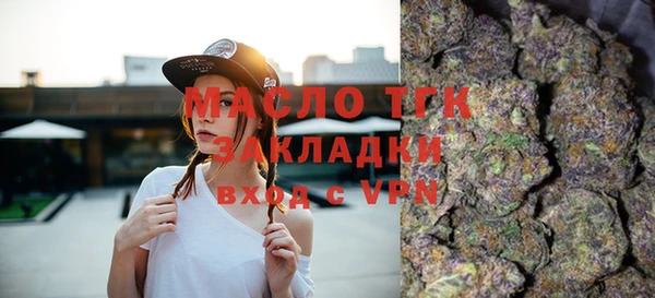 индика Гусев