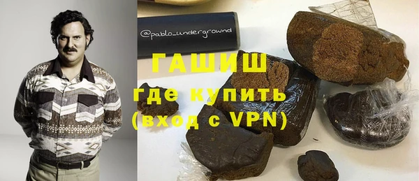индика Гусев