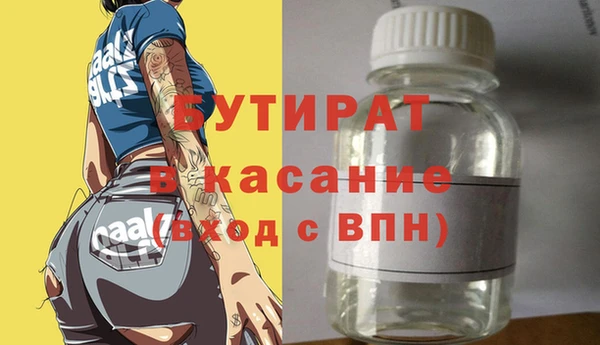 индика Гусев