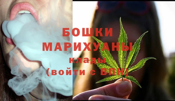 2c-b Горняк