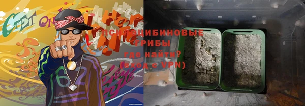прущая мука Гусиноозёрск