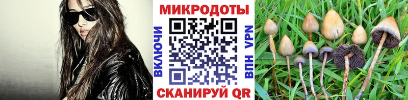 Псилоцибиновые грибы GOLDEN TEACHER  Белгород 